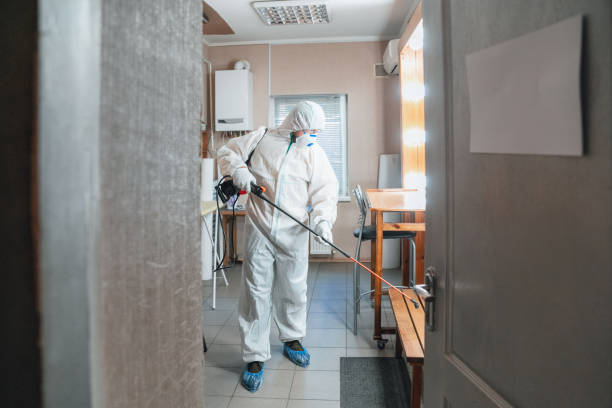 Best Post-Remediation Verification Testing  in Sun Lakes, AZ
