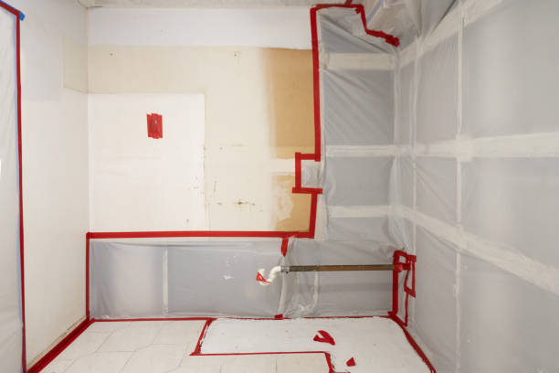 Best Post-Construction Mold Inspection  in Sun Lakes, AZ