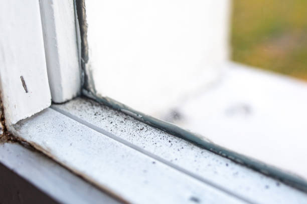 Best Indoor Air Quality Assessment  in Sun Lakes, AZ
