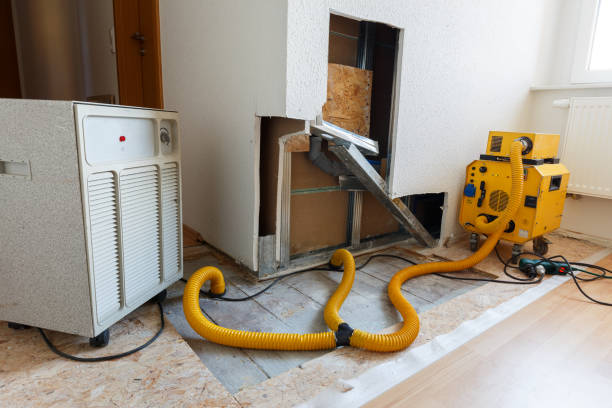 Best Forensic Mold Investigation  in Sun Lakes, AZ