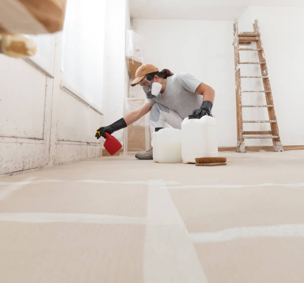 Best Air Quality Testing for Mold Spores  in Sun Lakes, AZ